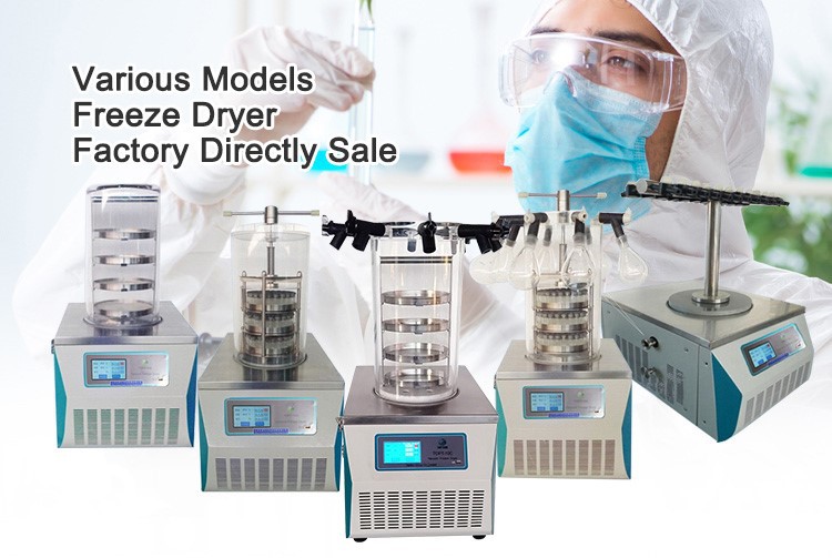 lab freeze dryer lab freeze dryer